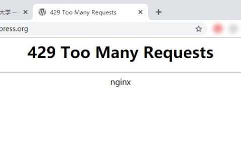 WordPress官网429 too many requests无法访问和在线安装更新的解决办法