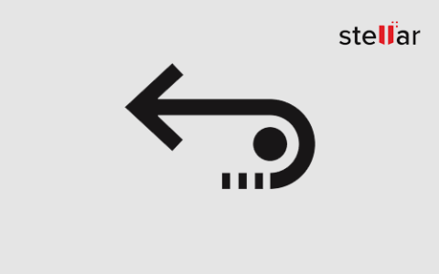 数据恢复软件 Stellar Data Recovery Professional